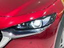 2021 Mazda CX-30 5BA-DMEP (UW-6aa21ec72f890)[10]