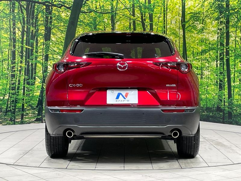 2021 Mazda CX-30 5BA-DMEP (UW-6aa21ec72f890)[17]