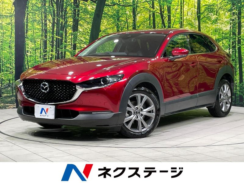2021 Mazda CX-30 5BA-DMEP (UW-6aa21ec72f890)[3]