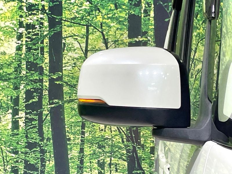 2017 Honda N-BOX DBA-JF3 (UW-6aa21f7e14f26)[14]