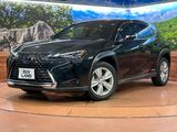 2021 Lexus UX 6AA-MZAH10