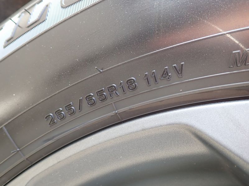 2023 Toyota Land Cruiser 3DA-FJA300W (UW-mtv24db59rt5)[16]