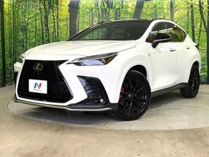 2025 Lexus NX 6AA-AAZH20