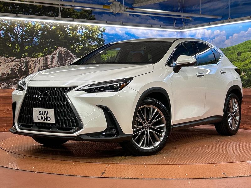 2023 Lexus NX 6AA-AAZH20 (UW-6aa36fada127d)[0]
