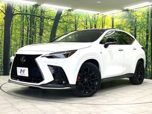 2022 Lexus NX 6AA-AAZH25
