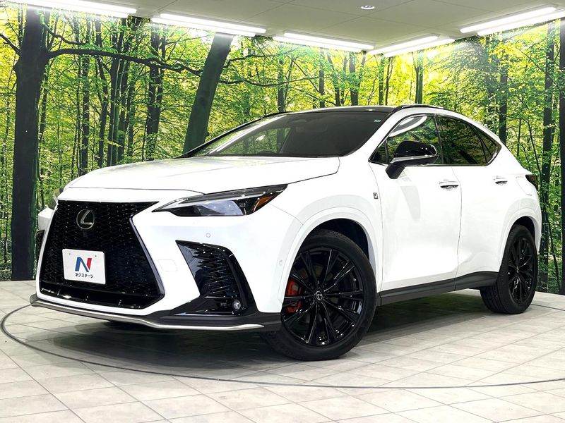 2022 Lexus NX 6AA-AAZH25 (UW-6aa36faf30a42)[0]