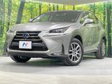 2014 Lexus NX DAA-AYZ15