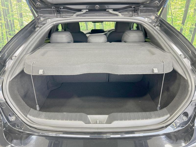 2019 Mazda Mazda 3 Fastback 5BA-BPFP (UW-6aa3705003f76)[13]