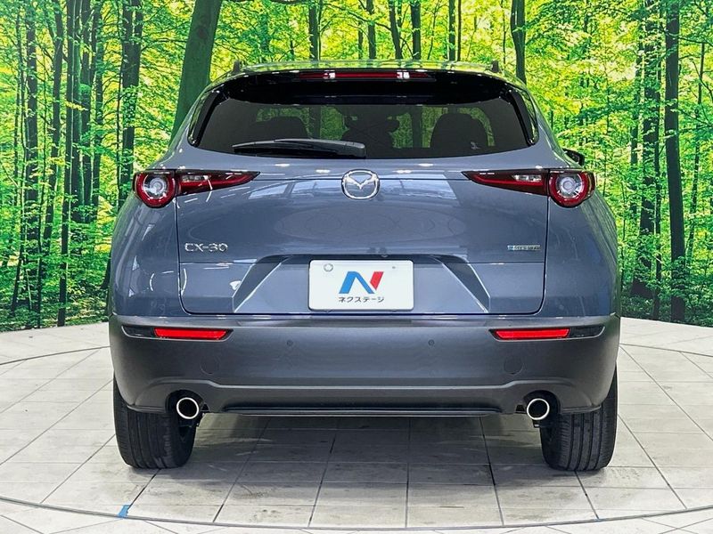 2023 Mazda CX-30 5AA-DMEJ3P (UW-6aa37072c2dba)[16]