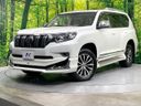 2019 Toyota Land Cruiser Prado LDA-GDJ150W (UW-6aa370a1e1352)[0]