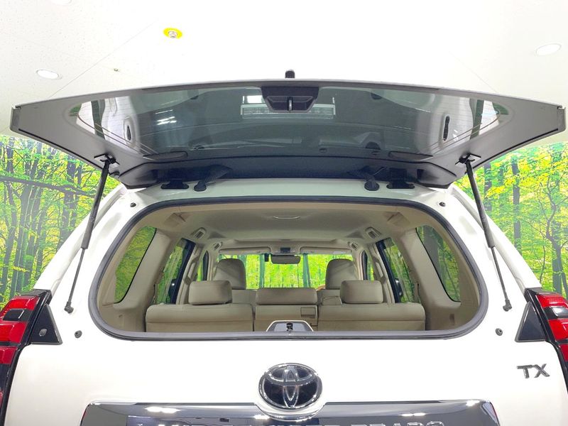 2019 Toyota Land Cruiser Prado LDA-GDJ150W (UW-6aa370a1e1352)[13]