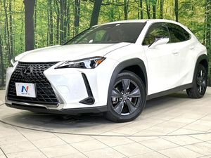 2024 Lexus UX 6AA-MZAH11