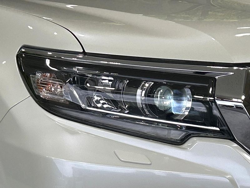 2019 Toyota Land Cruiser Prado CBA-TRJ150W (UW-6aa373939041b)[13]