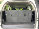 2019 Toyota Land Cruiser Prado CBA-TRJ150W (UW-6aa373939041b)[27]