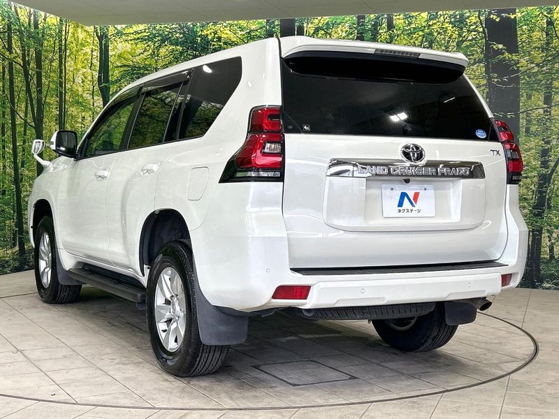 2019 Toyota Land Cruiser Prado CBA-TRJ150W (UW-6aa373939041b)[7]