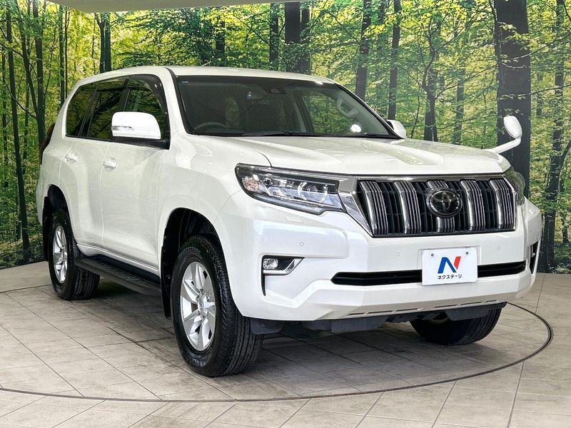 2019 Toyota Land Cruiser Prado CBA-TRJ150W (UW-6aa373939041b)[11]