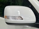 2019 Toyota Land Cruiser Prado CBA-TRJ150W (UW-6aa373939041b)[19]