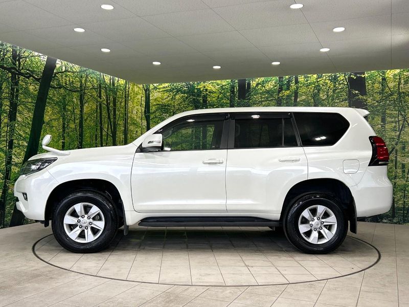 2019 Toyota Land Cruiser Prado CBA-TRJ150W (UW-6aa373939041b)[6]