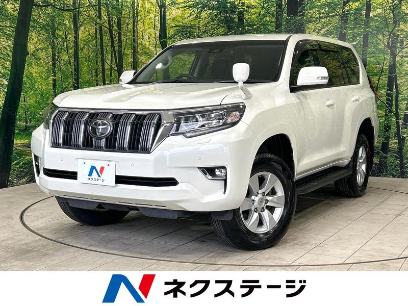 2019 Toyota Land Cruiser Prado CBA-TRJ150W (UW-6aa373939041b)[3]