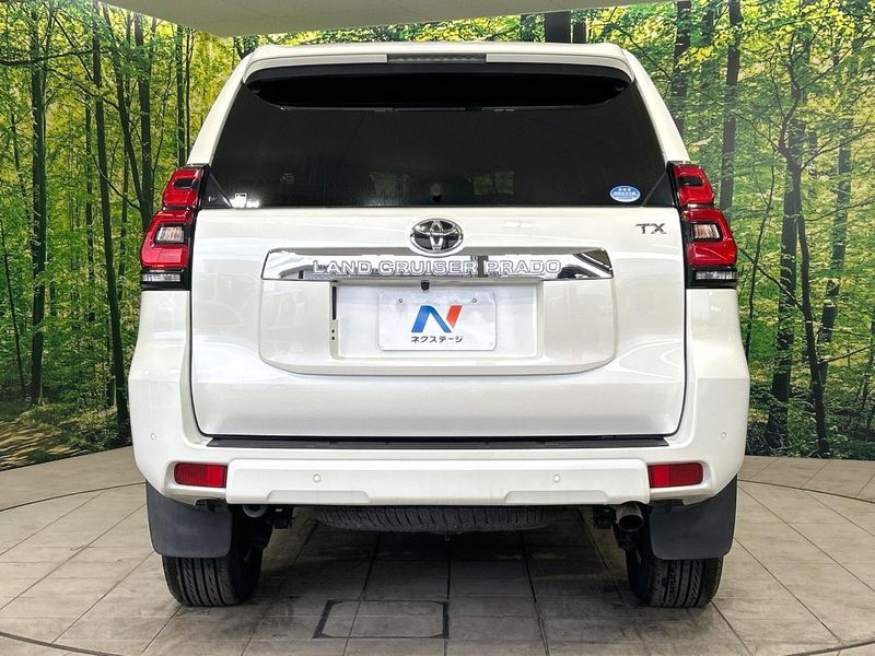 2019 Toyota Land Cruiser Prado CBA-TRJ150W (UW-6aa373939041b)[8]