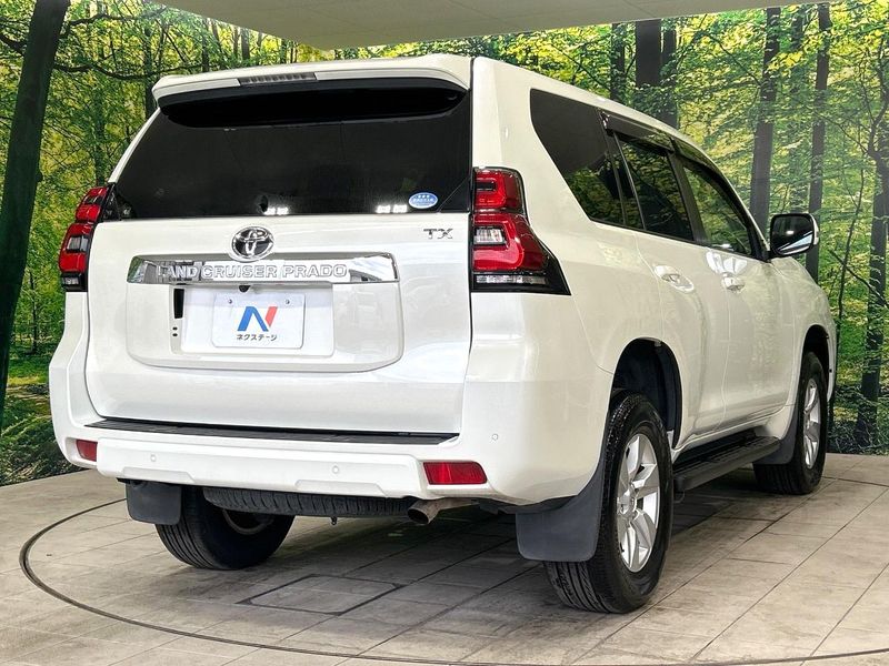 2019 Toyota Land Cruiser Prado CBA-TRJ150W (UW-6aa373939041b)[9]