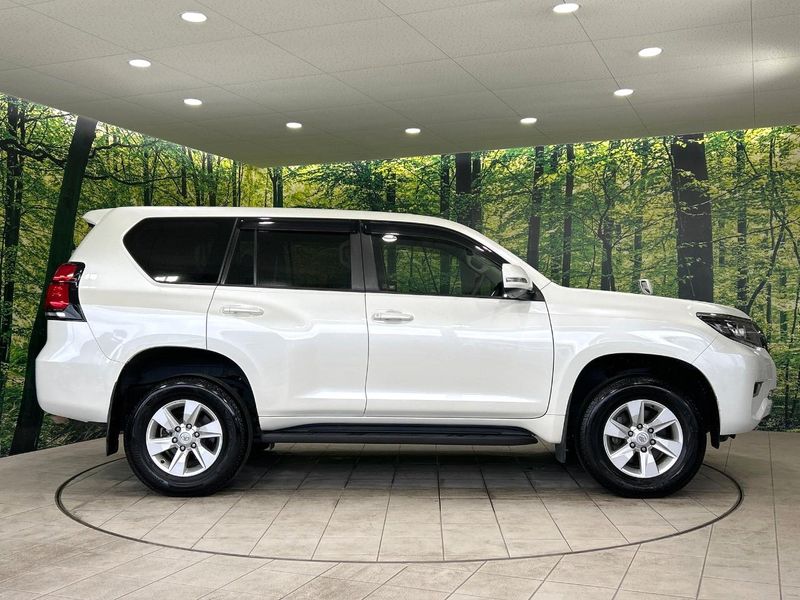 2019 Toyota Land Cruiser Prado CBA-TRJ150W (UW-6aa373939041b)[10]