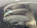 2019 Citroen C3 ABA-B6HN01 (UW-6aa373b4c180b)[10]