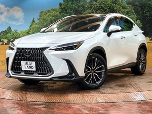 2024 Lexus NX 6AA-AAZH25