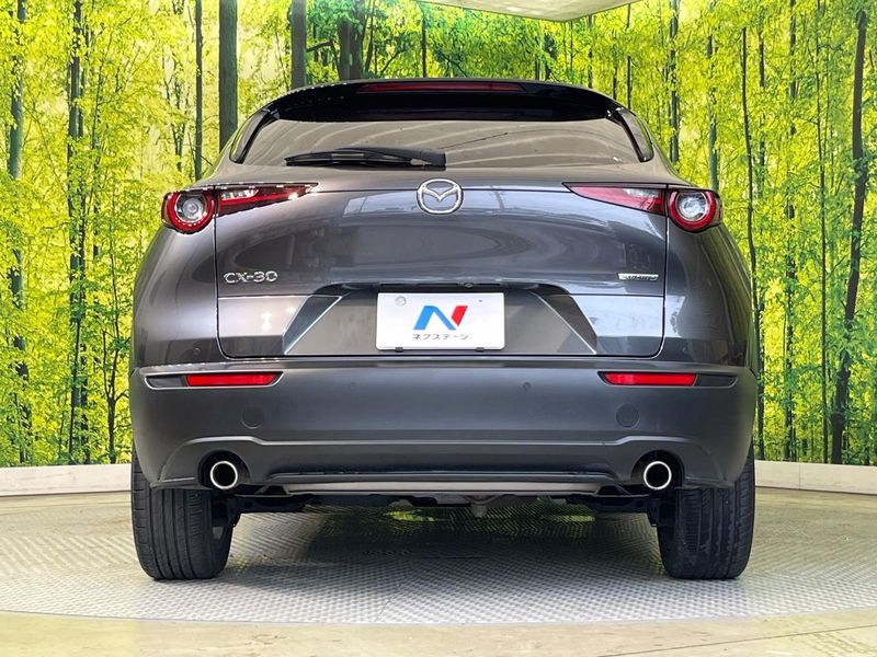 2020 Mazda CX-30 3DA-DM8P (UW-6aa4c1e9a874a)[10]