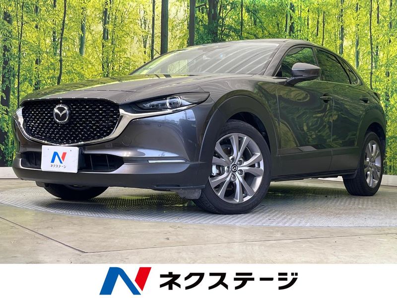 2020 Mazda CX-30 3DA-DM8P (UW-6aa4c1e9a874a)[3]