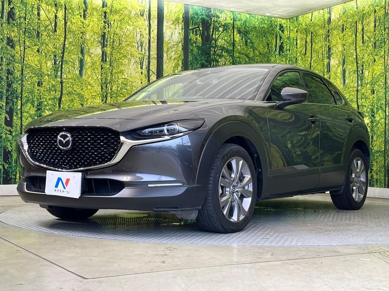 2020 Mazda CX-30 3DA-DM8P (UW-6aa4c1e9a874a)[7]