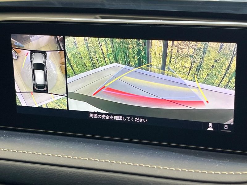 2020 Mazda CX-30 3DA-DM8P (UW-6aa4c1e9a874a)[17]