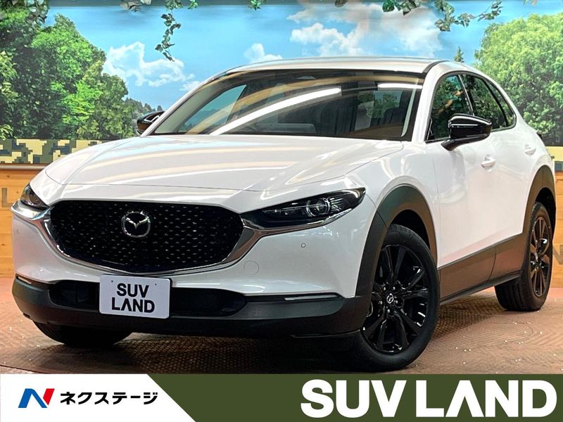 2025 Mazda CX-30 5AA-DMEJ3R (UW-6aa4c1eb80e93)[3]