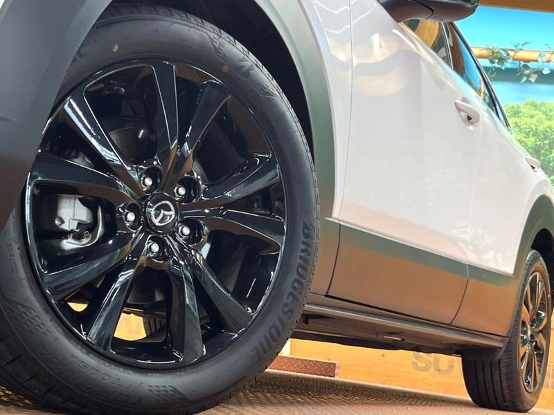 2025 Mazda CX-30 5AA-DMEJ3R (UW-6aa4c1eb80e93)[14]