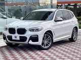 2018 BMW X3 LDA-TX20