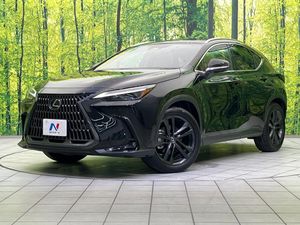 2024 Lexus NX 6AA-AAZH20