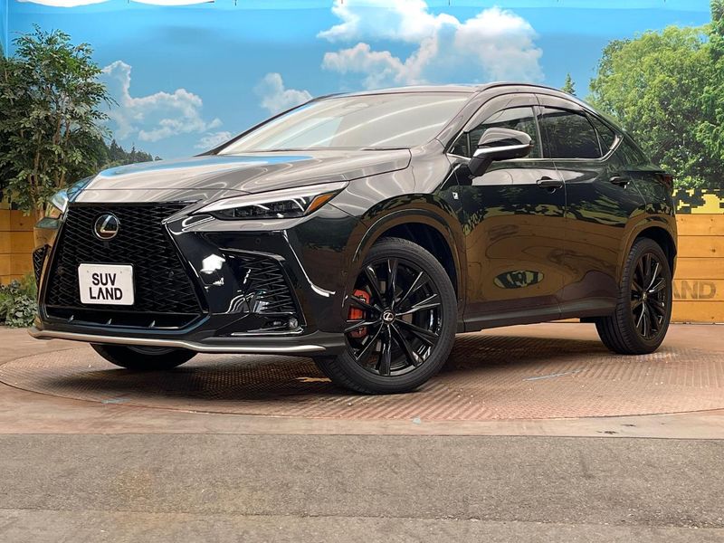2025 Lexus NX 6AA-AAZH20 (UW-6aa61298f056f)[0]