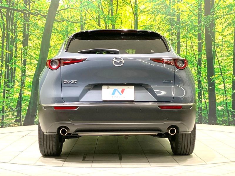 2020 Mazda CX-30 5BA-DMEP (UW-6aa6135bc899f)[15]
