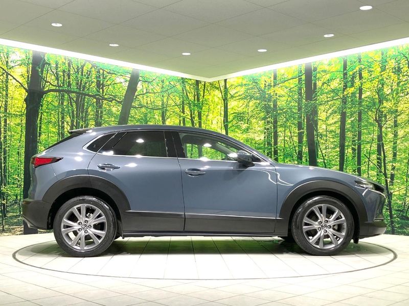 2020 Mazda CX-30 5BA-DMEP (UW-6aa6135bc899f)[13]