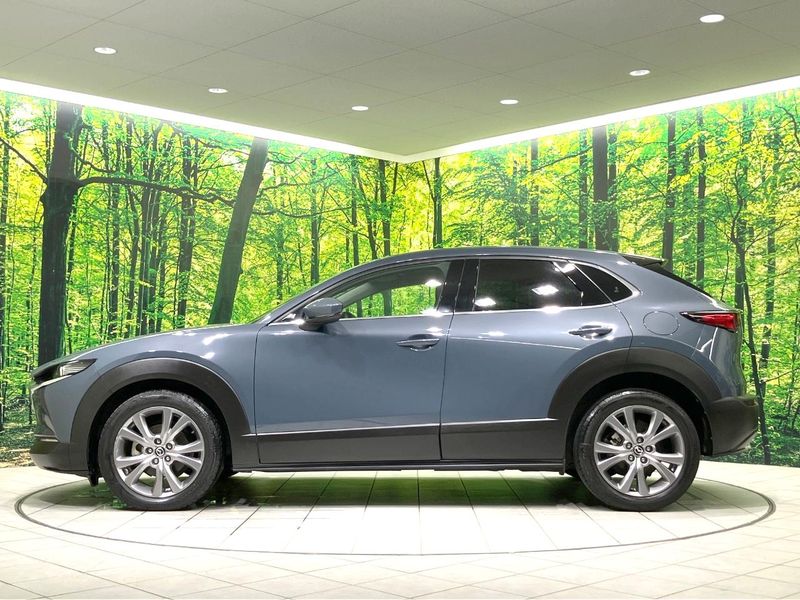 2020 Mazda CX-30 5BA-DMEP (UW-6aa6135bc899f)[17]