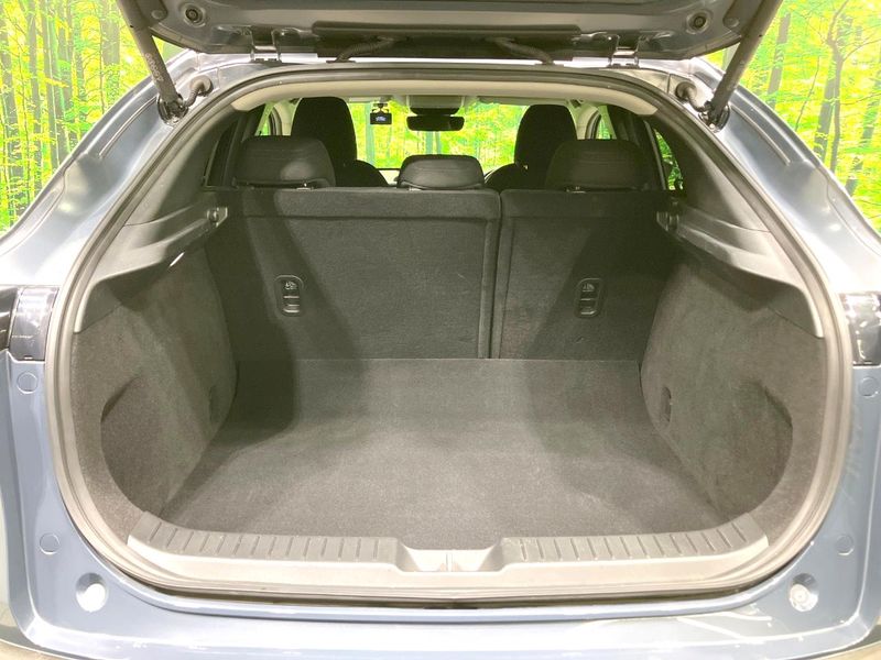 2020 Mazda CX-30 5BA-DMEP (UW-6aa6135bc899f)[19]
