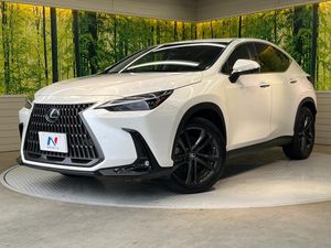 2023 Lexus NX 6AA-AAZH20