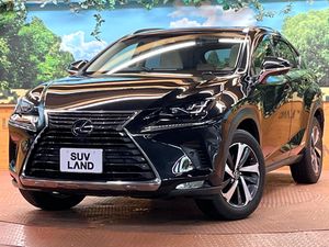 2018 Lexus NX DAA-AYZ15