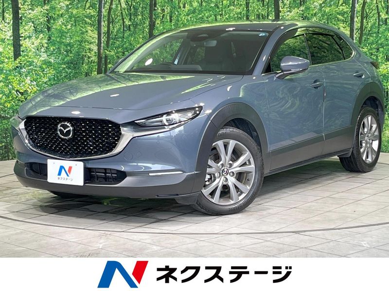 2024 Mazda CX-30 3DA-DM8R (UW-6aa764cadd443)[3]