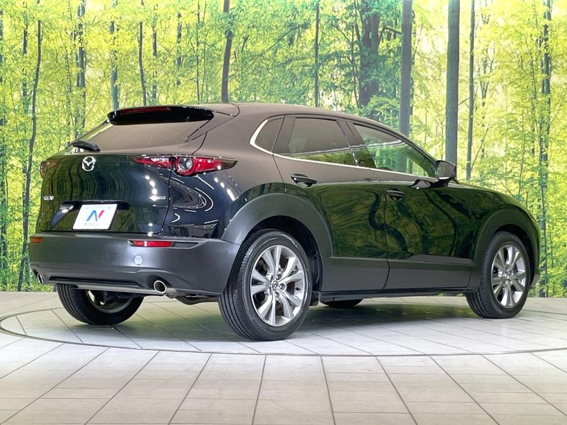 2020 Mazda CX-30 5BA-DMEP (UW-6aa764cc6c917)[8]