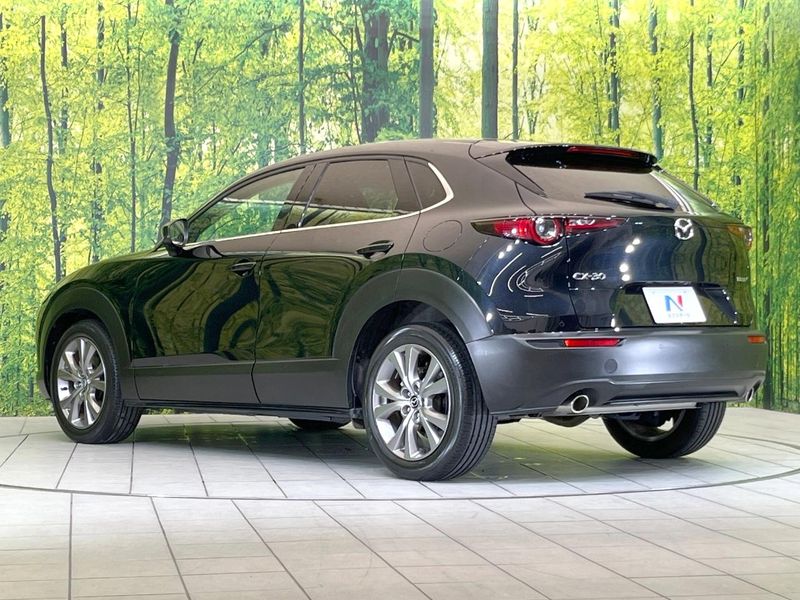 2020 Mazda CX-30 5BA-DMEP (UW-6aa764cc6c917)[10]