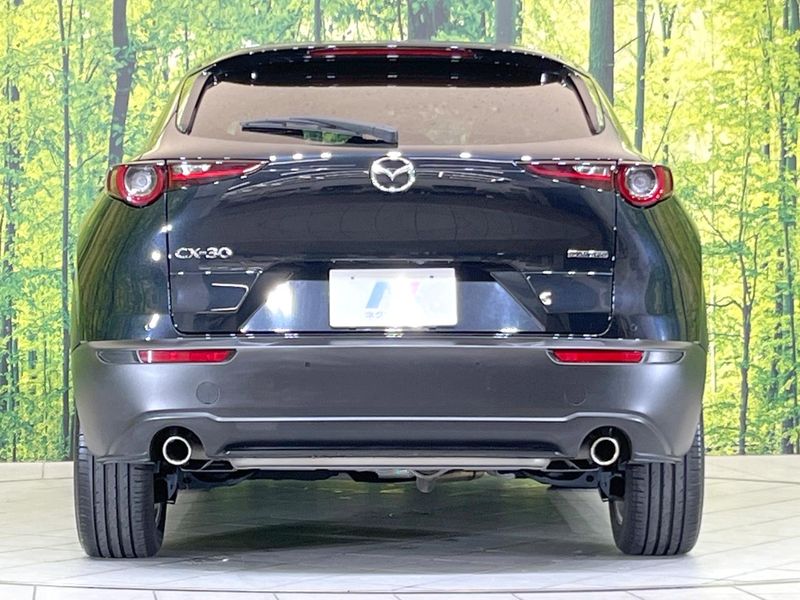 2020 Mazda CX-30 5BA-DMEP (UW-6aa764cc6c917)[9]