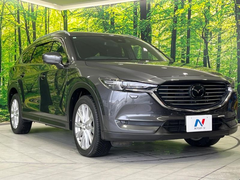 2018 Mazda CX-8 3da-kg2p (UW-6aa765e4208f0)[17]