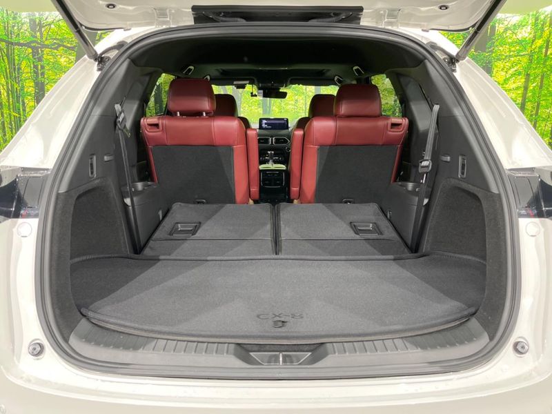 2023 Mazda CX-8 3da-kg2p (UW-6aa765e83f658)[21]
