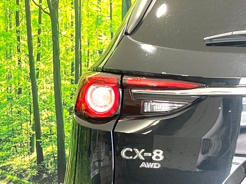 2021 Mazda CX-8 6BA-KG5P (UW-6aa765ea19d6e)[18]